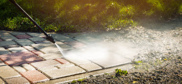 Best Roof Washing  in Indiantown, FL